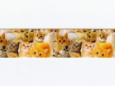 Animals